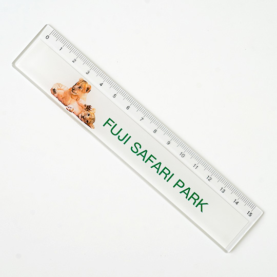 定規 子ライオン