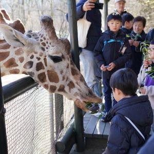 記事「ウィンター・アドベンチャーツアー12月6日より開催！」の画像