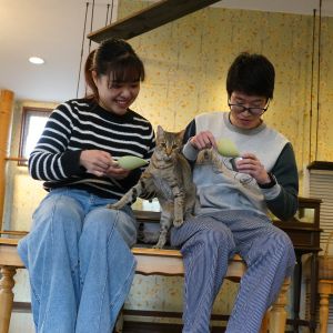 記事「ネコの館・独り占めプラン!(12月1日~平日限定)」の画像