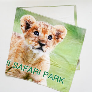 記事「シャーリングバスタオル」の画像