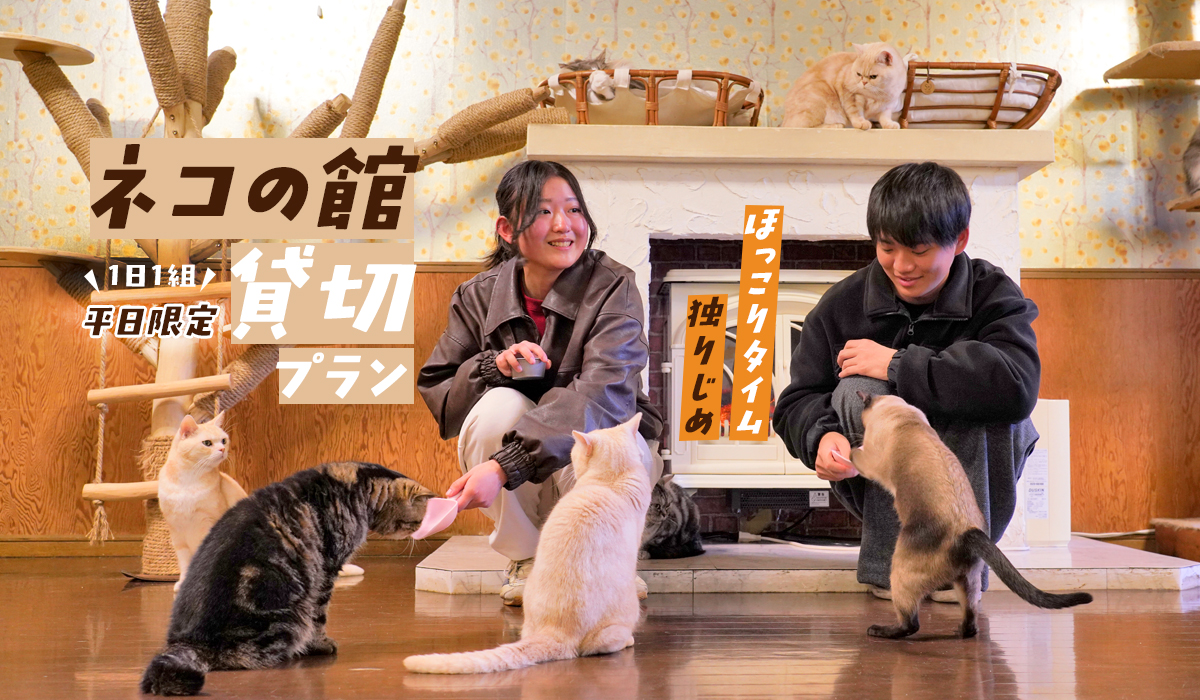 ネコの館・貸切プラン！（12月1日～平日限定） - 富士サファリパーク