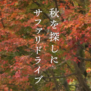 記事「園内は紅葉が見頃!(11月下旬頃まで)」の画像