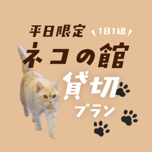 記事「ネコの館・貸切プラン!(12月1日~平日限定)」の画像