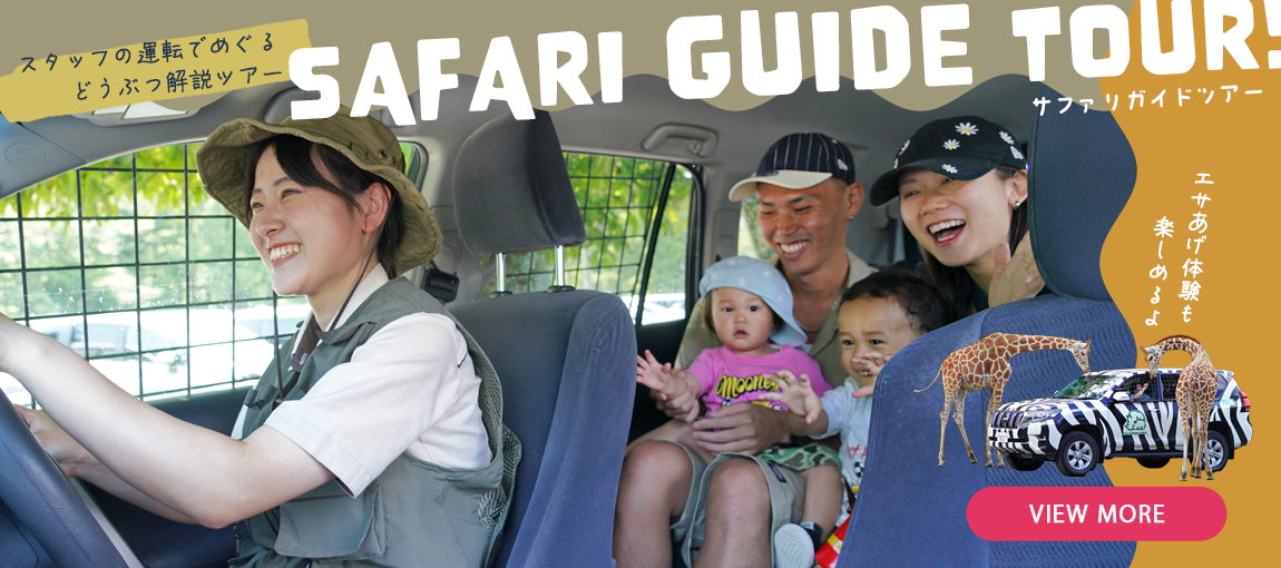 メインイメージ