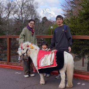 記事「午年記念・ミニチュアホースと撮影イベント！」の画像