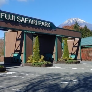 記事「園内、および周辺の道路状況（12月1日現在）」の画像