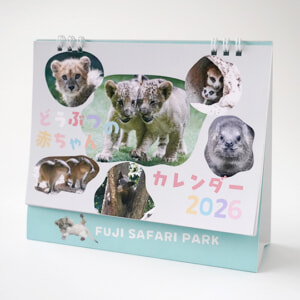 記事「どうぶつの赤ちゃんカレンダー2026」の画像