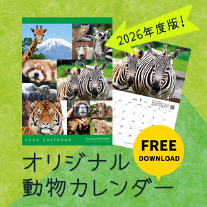 どうぶつ壁紙&カレンダー