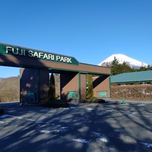 記事「園内、および周辺の道路状況（1月12日現在）」の画像