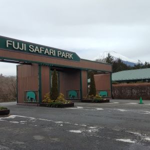 記事「園内、および周辺の道路状況（1月7日現在）」の画像