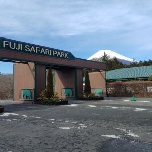 記事「園内、および周辺の道路状況（1月7日現在）」の画像