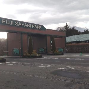 記事「園内、および周辺の道路状況(1月28日現在)」の画像