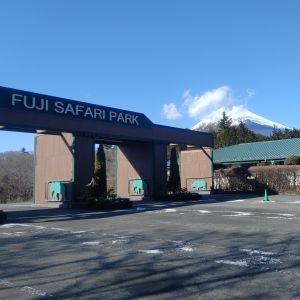 記事「園内、および周辺の道路状況（1月14日現在）」の画像