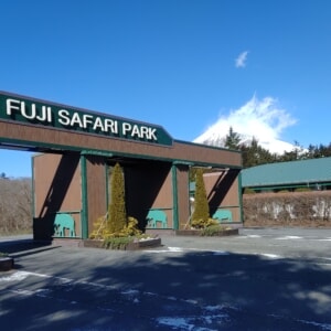 記事「園内、および周辺の道路状況（1月22日現在）」の画像