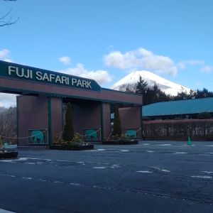 記事「園内、および周辺の道路状況(1月31日現在)」の画像