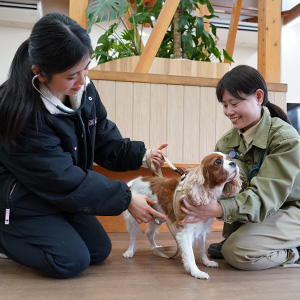 記事「イヌの館・獣医さんと一緒にお世話体験」の画像