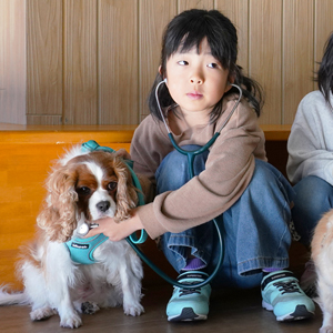 記事「イヌの館・獣医さんと一緒にお世話体験」の画像