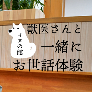 記事「イヌの館・獣医さんと一緒にお世話体験」の画像