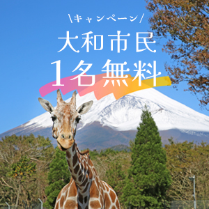 記事「大和市民・1名無料キャンペーン(1月31日・2月1日)」の画像