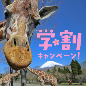 記事「大学・専門学校 学生応援プラン!(2月7日~3月31日)」の画像