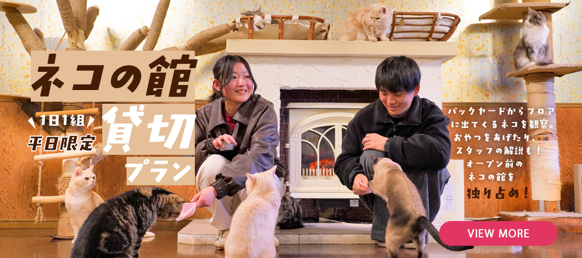 メインイメージ