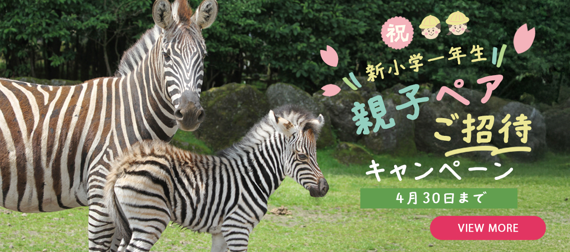 メインイメージ