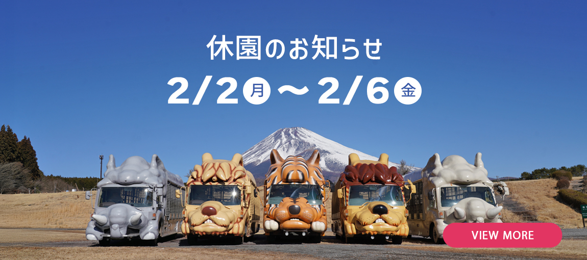 メインイメージ