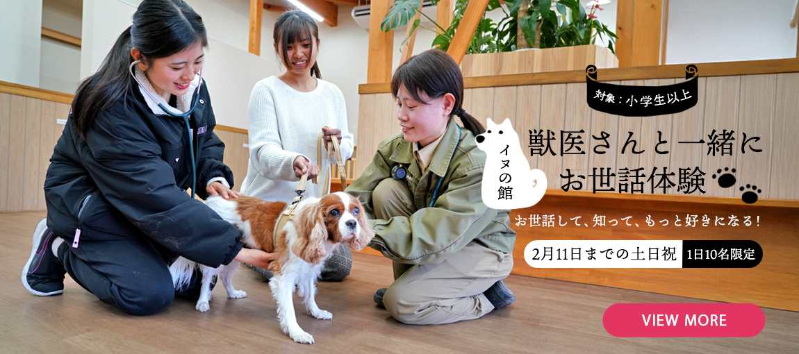 メインイメージ