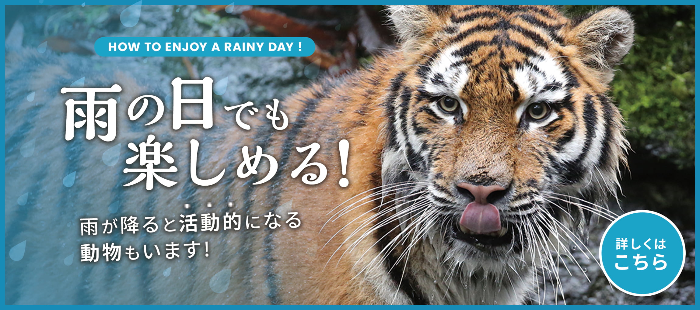 メインイメージ