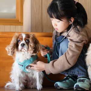 記事「イヌの館・獣医さんと一緒にお世話体験」の画像