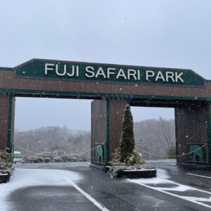 記事「園内、および周辺の道路状況（2月7日現在）」の画像