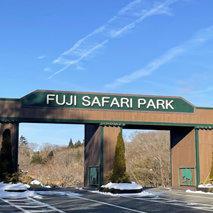 記事「園内、および周辺の道路状況（2月10日現在）」の画像