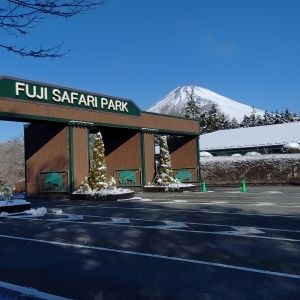 記事「園内、および周辺の道路状況（2月18日現在）」の画像