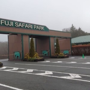 記事「園内、および周辺の道路状況（3月12日現在）」の画像