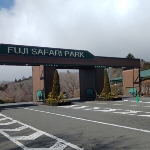 記事「園内、および周辺の道路状況（2月23日現在）」の画像