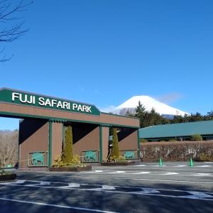 記事「園内、および周辺の道路状況(2月26日現在)」の画像