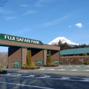 記事「園内、および周辺の道路状況(2月28日現在)」の画像