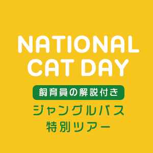記事「【ネコの日記念】ジャングルバス特別ツアー！（2月14日〜2月23日）」の画像