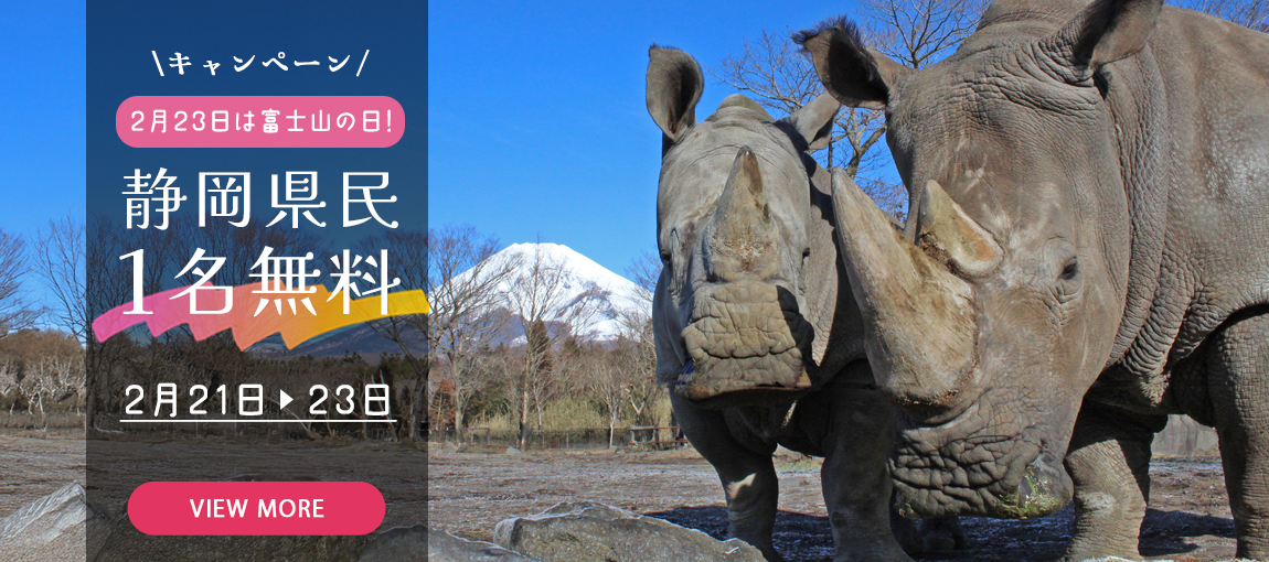 メインイメージ