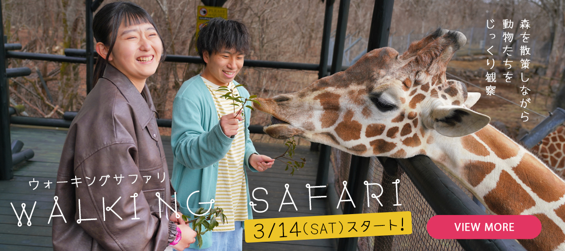 メインイメージ