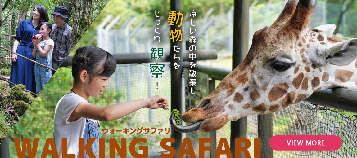 メインイメージ
