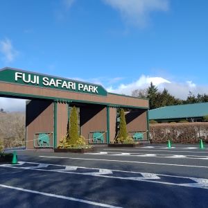 記事「園内、および周辺の道路状況（3月4日現在）」の画像