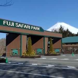 記事「園内、および周辺の道路状況(3月5日現在)」の画像