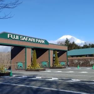 記事「園内、および周辺の道路状況（3月7日現在）」の画像