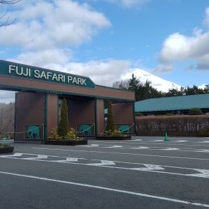 記事「園内、および周辺の道路状況（3月9日現在）」の画像