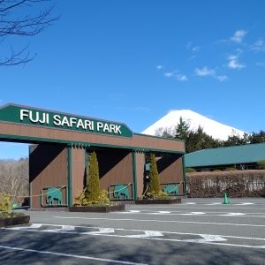 記事「園内、および周辺の道路状況（3月14日現在）」の画像