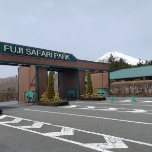 記事「園内、および周辺の道路状況（3月22日現在）」の画像