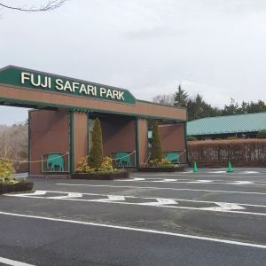 記事「園内、および周辺の道路状況（3月25日現在）」の画像