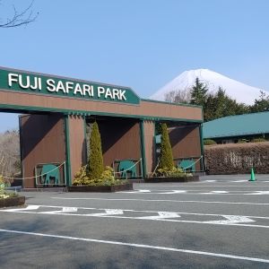 記事「園内、および周辺の道路状況（3月29日現在）」の画像