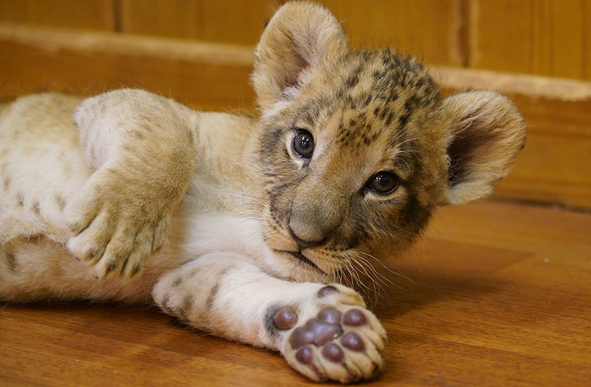 Gallery and Movie メインイメージ